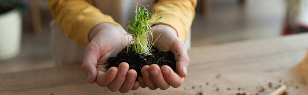 Cropped view of preteen kid holding plant in soil at home, banner 