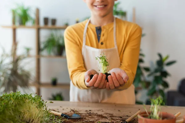 Vista Cortada Menino Sorridente Segurando Microgreen Solo Perto Ferramentas Jardinagem — Fotografia de Stock