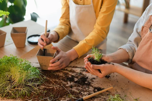 Vista Recortada Niña Sosteniendo Tierra Microgreen Cerca Amigo Con Maceta — Foto de Stock