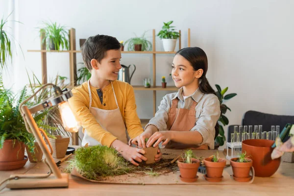 Niños Sonrientes Plantando Microgreen Cerca Los Tubos Ensayo Casa — Foto de Stock