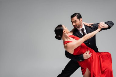 Takım elbiseli, tango yapan şık bir adam. Gri üzerine izole edilmiş bir ortağı var. 