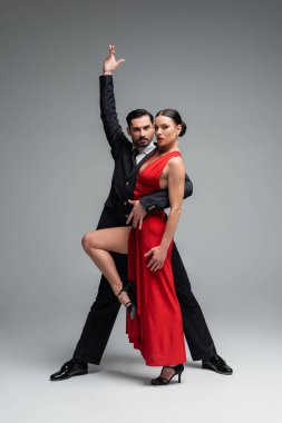 Profesyonel balo dansçılarının hepsi gri arka plandaki kameraya bakıyor.