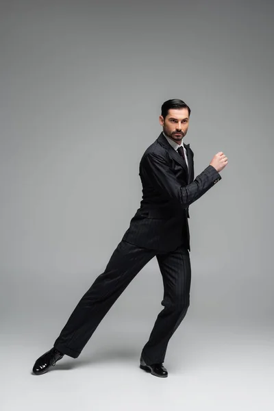 Professional Dancer Suit Performing Tango Grey Background — Stock Photo, Image
