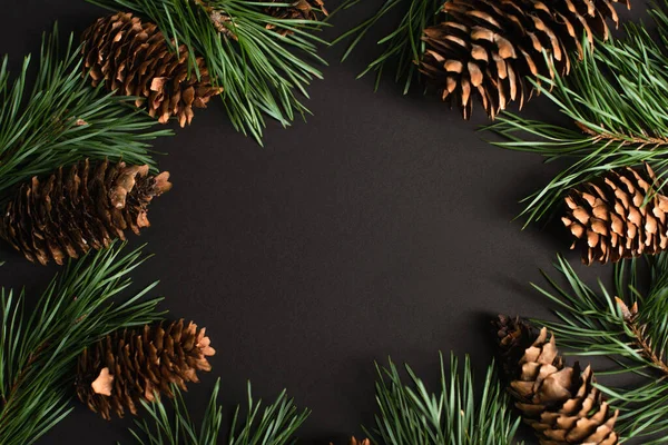 Vue de dessus des branches de sapin et des cônes de pin sur noir — Photo de stock