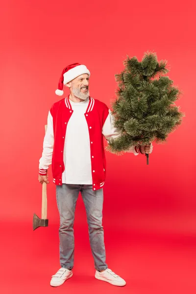 Full length of happy middle aged man in santa hat holding axe and pine tree on red — Stock Photo