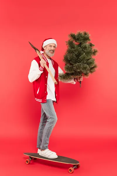 Full length of cheerful middle aged man in santa hat holding axe and pine tree on red — Stock Photo
