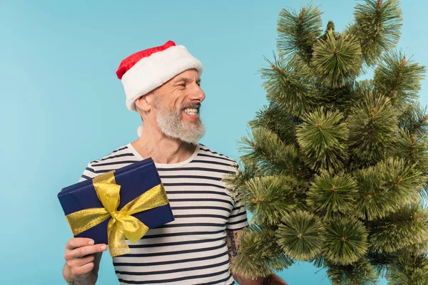 Happy middle aged man in stiped t-shirt and santa hat holding christmas tree and gift box isolated on blue — Stock Photo
