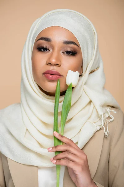 Joven mujer musulmana en hijab sosteniendo tulipán blanco aislado en beige - foto de stock