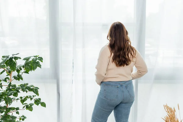 Vista posteriore di giovane donna con sovrappeso in piedi vicino alla finestra a casa — Foto stock