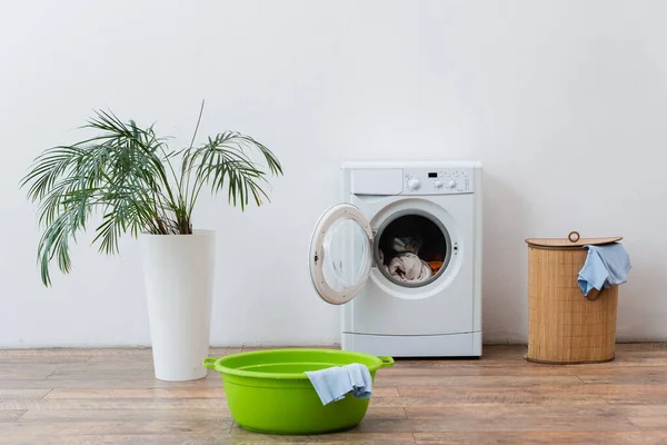 Waschmaschine, Wäschekorb, Schüssel und grüne Pflanze in der Nähe der weißen Wand — Stockfoto