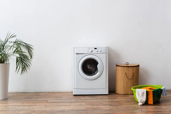 Bol à linge, panier et machine à laver près de la plante verte et mur blanc — Photo de stock