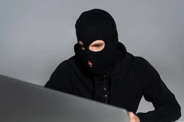 Hacker in balaclava looking at computer monitor isolated on grey — Stock Photo