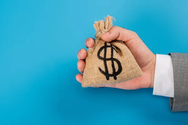 Cropped view of man holding money bag with dollar sign on blue — Stock Photo