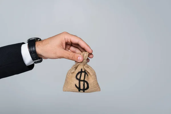 Cropped view of man holding money bag with dollar sign isolated on grey — Stock Photo