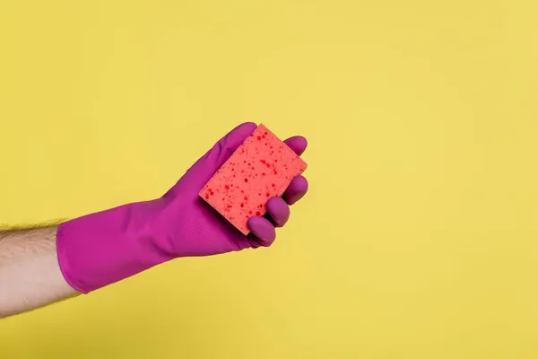 Обрезанный вид человека в розовой резиновой перчатке держащий губку изолирован на желтый — стоковое фото