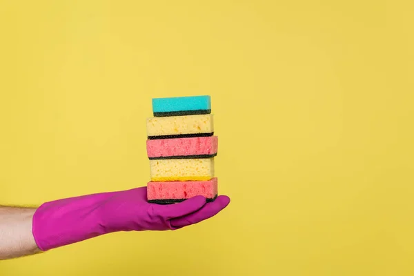 Visão parcial do homem em luva de borracha segurando pilha de esponjas isoladas em amarelo — Fotografia de Stock