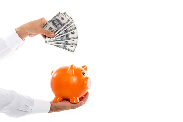 Abgeschnittene Ansicht eines Mannes mit Sparschwein und Dollarnoten isoliert auf weißem Grund — Stockfoto