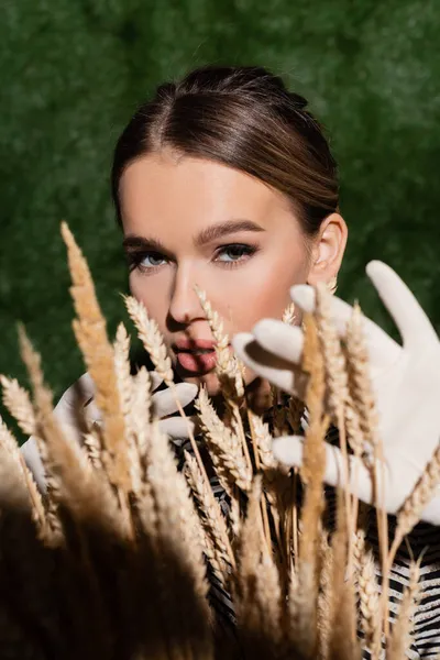 Modelo joven de moda en blusa con estampado animal y guantes blancos posando cerca de espiguillas de trigo borrosas — Stock Photo