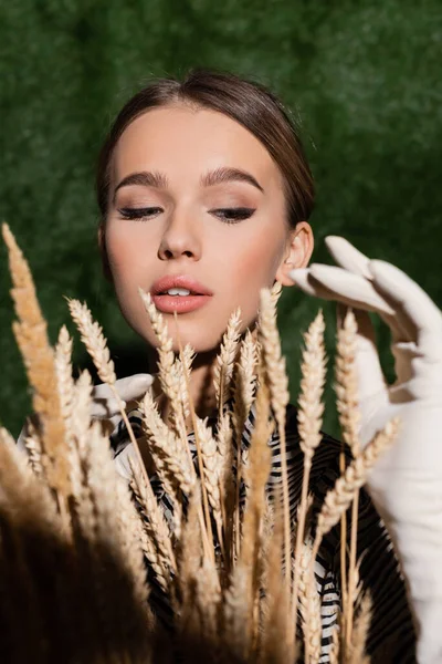 Modelo joven en guantes blancos posando cerca de espiguillas de trigo borrosas - foto de stock