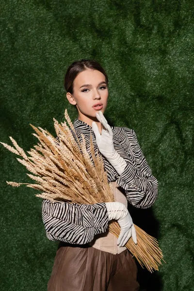 Mujer joven en blusa con estampado animal y guantes blancos sosteniendo espiguillas de trigo cerca de fondo herboso - foto de stock