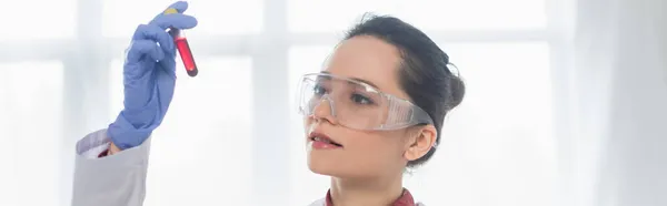 Junge Wissenschaftlerin in Latexhandschuhen und Brille mit Blut im Reagenzglas, Banner — Stockfoto