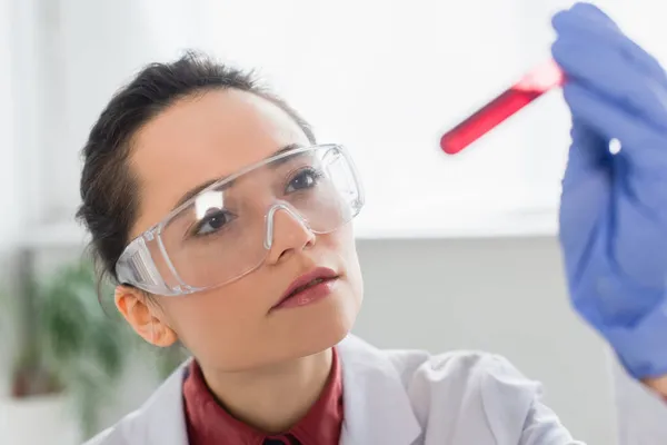 Morena científico en látex guante y gafas celebración de probeta con sangre - foto de stock