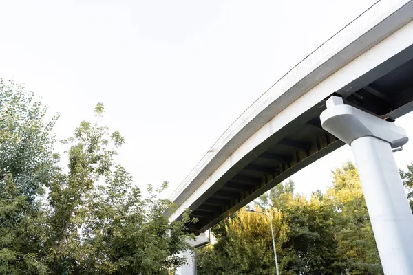 Vue à angle bas du pont élevé près des arbres contre un ciel clair — Photo de stock