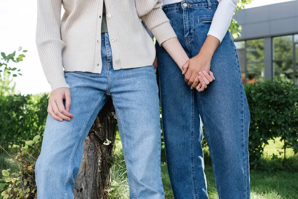 Cropped view of women in jeans holding hands near tree trunk outside — Stock Photo