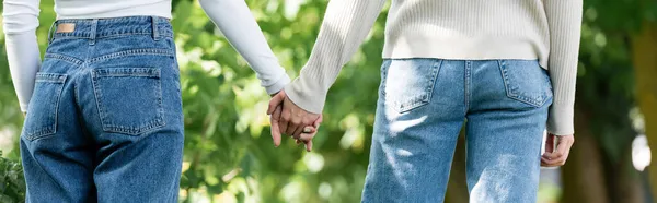 Rückansicht von lesbischem Paar, das sich draußen an den Händen hält, Banner — Stockfoto