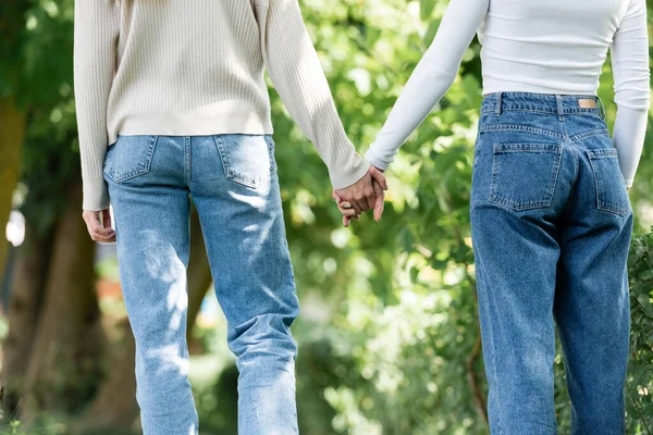 Vue arrière de couple lesbien en jeans tenant la main à l'extérieur — Photo de stock