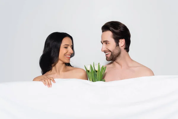 Pleased lovers looking at each other near white blanket and tulips isolated on grey — Stock Photo