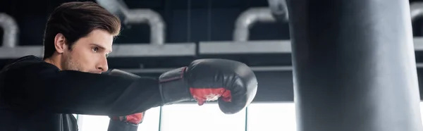 Спортсмен Брюнета в боксерських рукавицях тренувався з жуком-пуншем у спортивному центрі, банер. — стокове фото