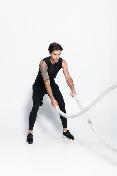 Sportsman working out with battle ropes on grey background — Stockfoto