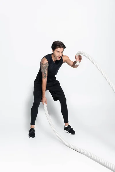 Full length of brunette sportsman training with battle ropes on grey background — Stockfoto