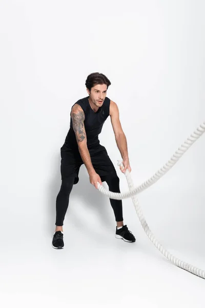 Tattooed sportsman holding battle ropes during cross training on grey background — Stock Photo