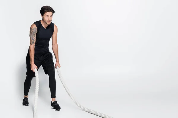 Tattooed sportsman training with battle ropes on grey background with copy space — Stock Photo