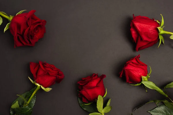 Disposición plana de rosas rojas sobre fondo negro - foto de stock