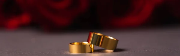 Golden wedding rings with blurred roses on background, banner — Stock Photo