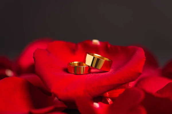 Primo piano di fedi nuziali d'oro su petali di rosa rossi su grigio — Foto stock