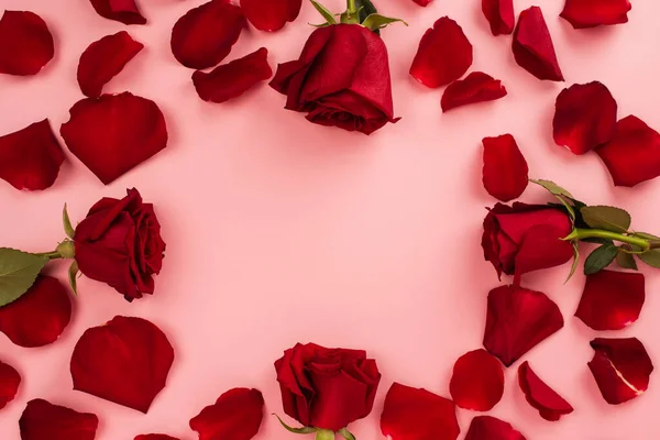 Flat lay of red frame with rose petals on pink — Stock Photo