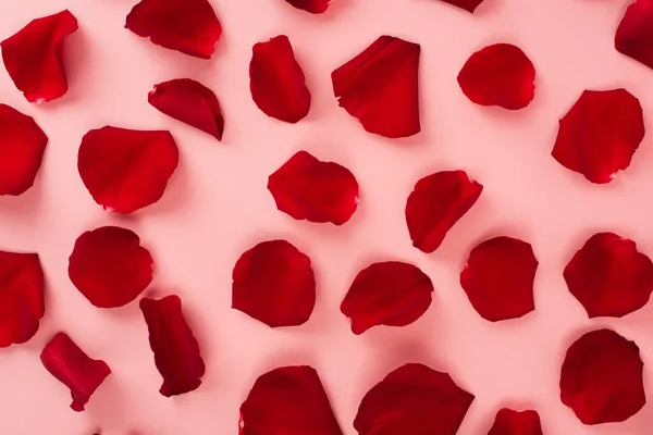Vista superior de pétalas de rosa vermelha no fundo rosa — Fotografia de Stock