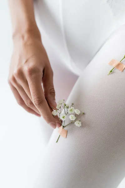 Partial view of woman touching gypsophila flower on tighs isolated on white — Stock Photo