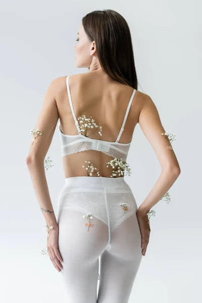 Vue arrière de la femme mince en soutien-gorge blanc et collants avec des fleurs gypsophile isolé sur gris — Photo de stock