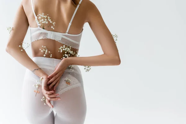 Partial view of sexy woman in bra and white tights, with gypsophila flowers on body, posing with hands behind back isolated on grey — Stock Photo