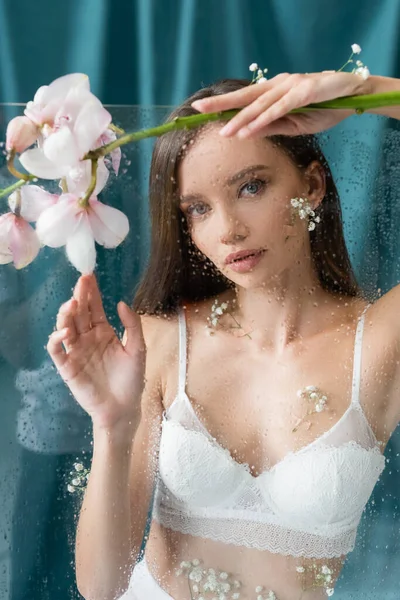 Mujer sexy en sujetador blanco mirando la cámara cerca de vidrio húmedo y orquídea sobre fondo verde cubierto - foto de stock