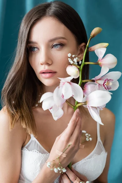 Sensual brunette woman in lace bra holding white orchid on turquoise background — Stock Photo