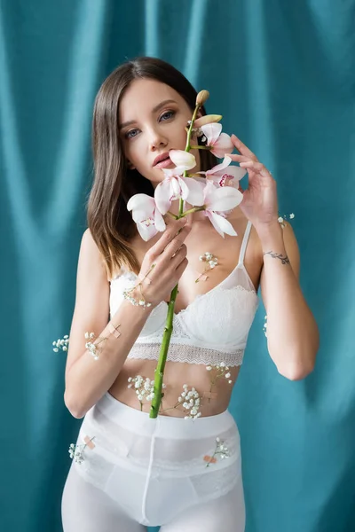 Encantadora mujer con orquídea blanca y cuerpo decorado con flores de gypsophila mirando a la cámara sobre fondo verde cubierto - foto de stock