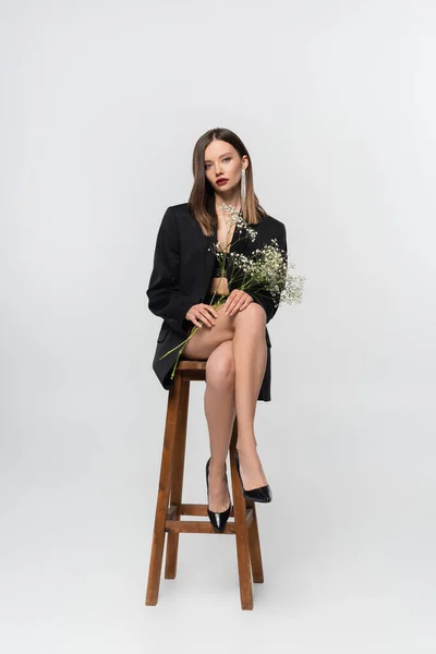 Sensual woman in lingerie, high-heeled shoes and black blazer sitting on high stool with branch of gypsophila on grey — Stock Photo