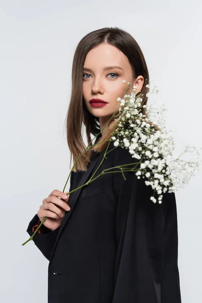 Seductive brunette woman in black blazer looking at camera while holding branch of gypsophila isolated on grey — Stock Photo