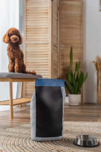 Blurred poodle sitting on comfortable pouf bench near pet food bag on round carpet - foto de stock